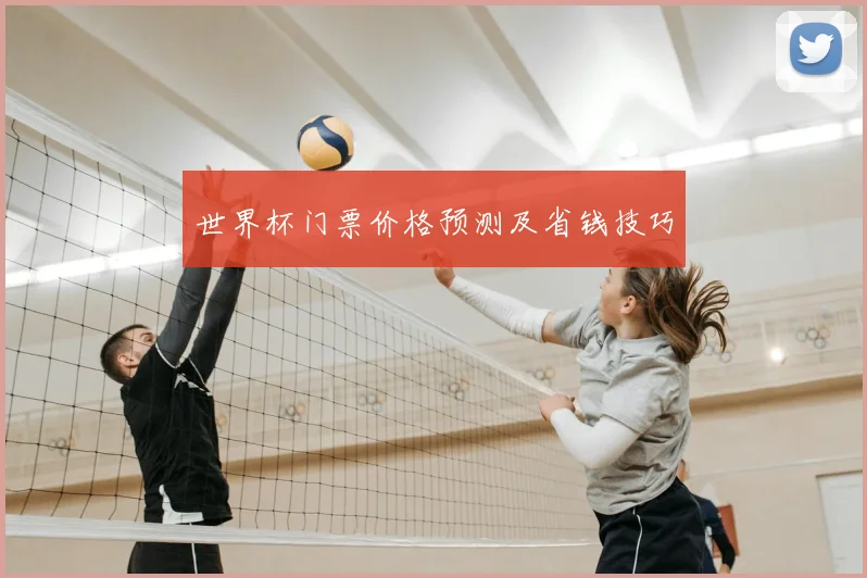 世界杯门票价格预测及省钱技巧